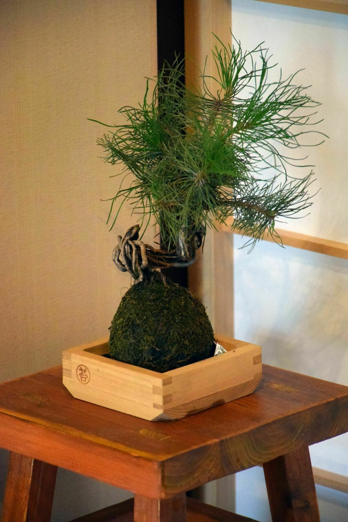 Guesthouse Hanamiya Kjóto Exteriér fotografie